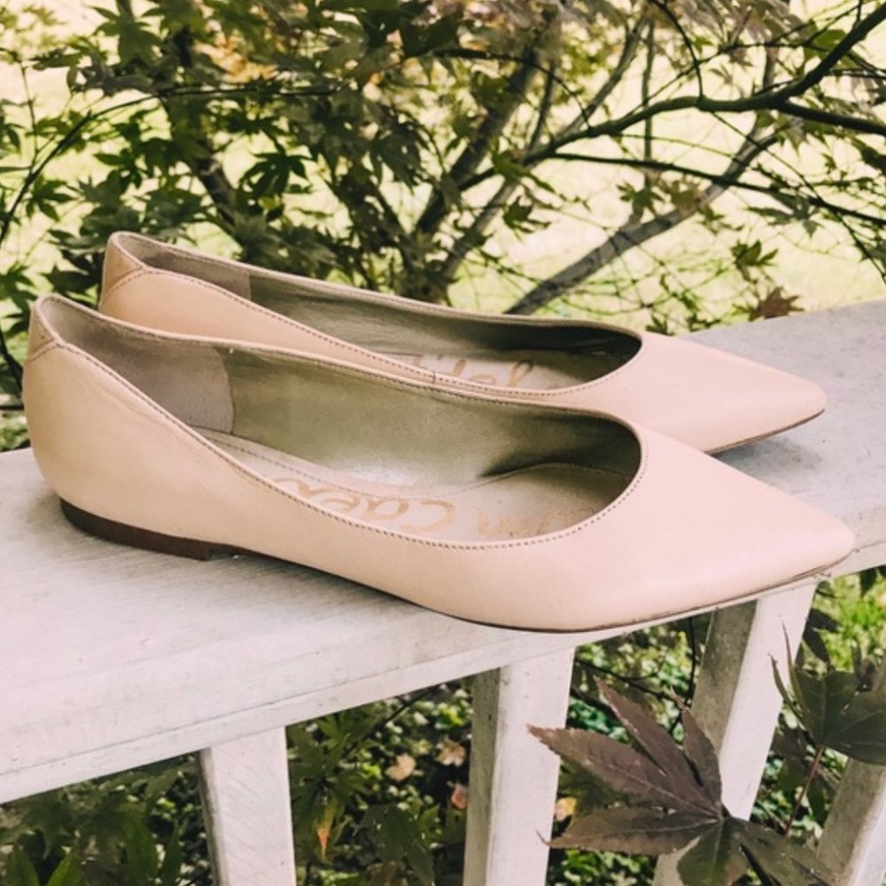 Sam Edelman Rae Blush Leather Pointed Flat